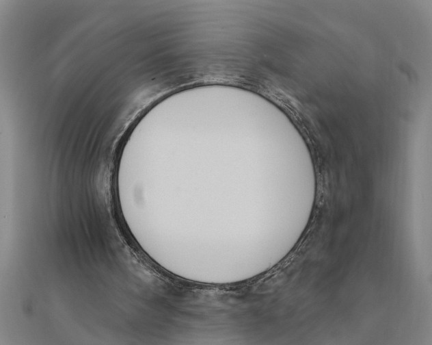 X0000111520098200908041252