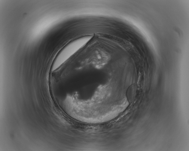 X0000111520099200908041252