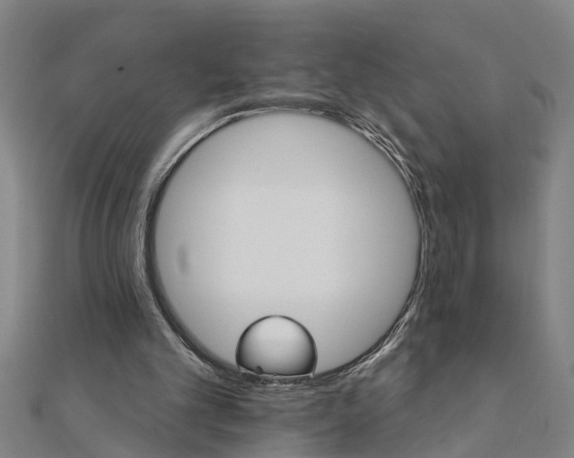 X0000111520101200908041252