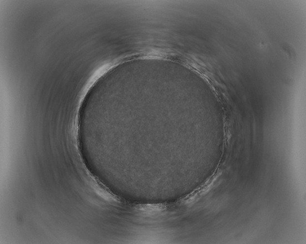 X0000111520102200908041252