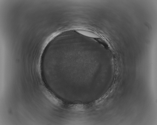 X0000111520104200908041252