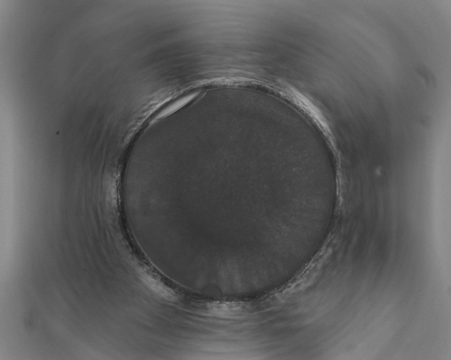 X0000111520105200908041252