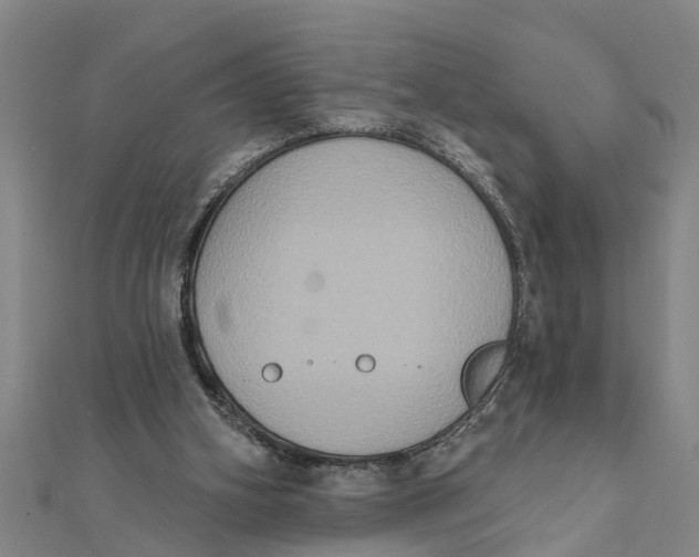 X0000111520106200908041252