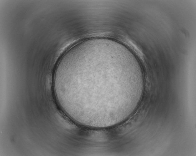 X0000111520107200908041252
