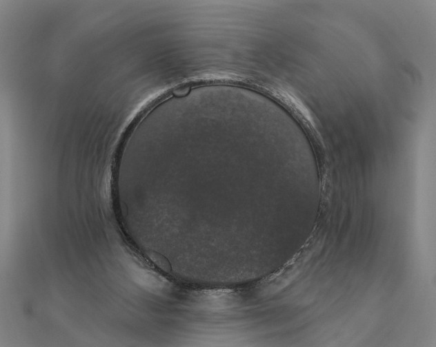 X0000111520108200908041252