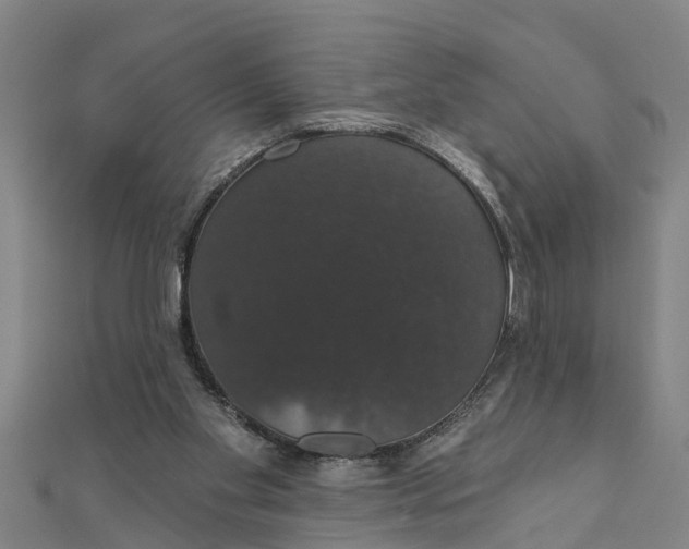 X0000111520109200908041252