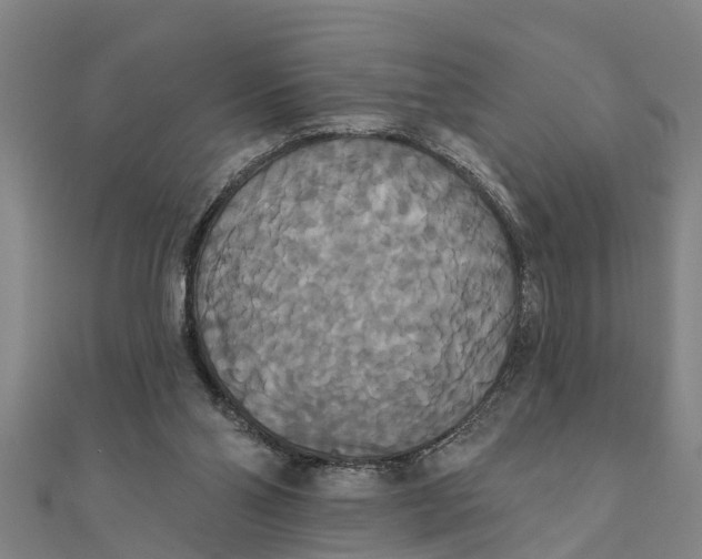 X0000111520110200908041252