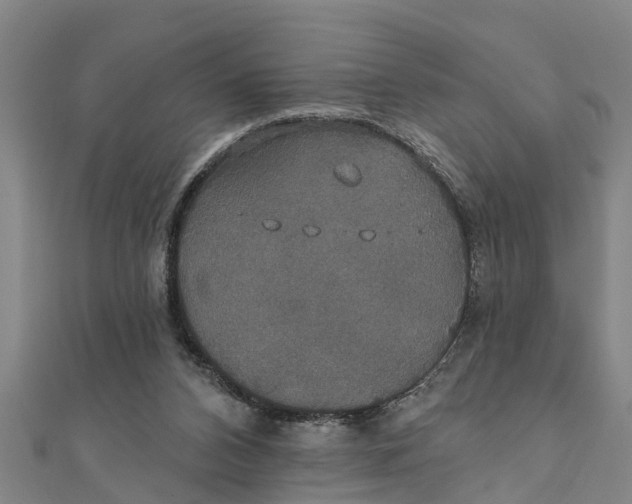 X0000111520112200908041252