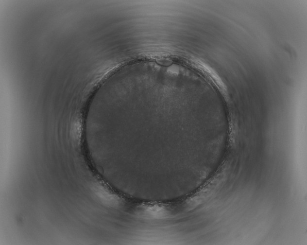 X0000111520113200908041252