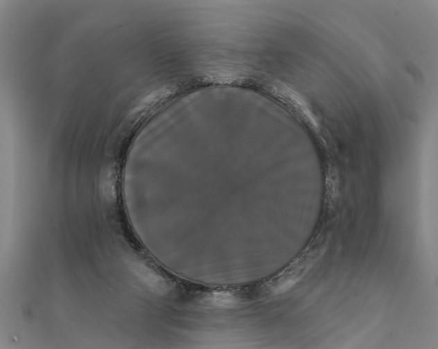 X0000111520114200908041252