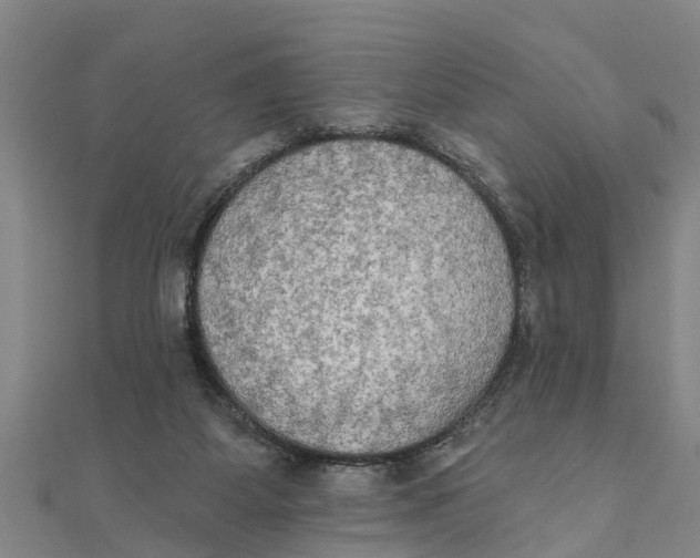 X0000111520115200908041252