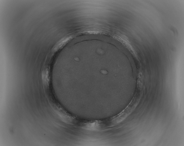 X0000111520116200908041252