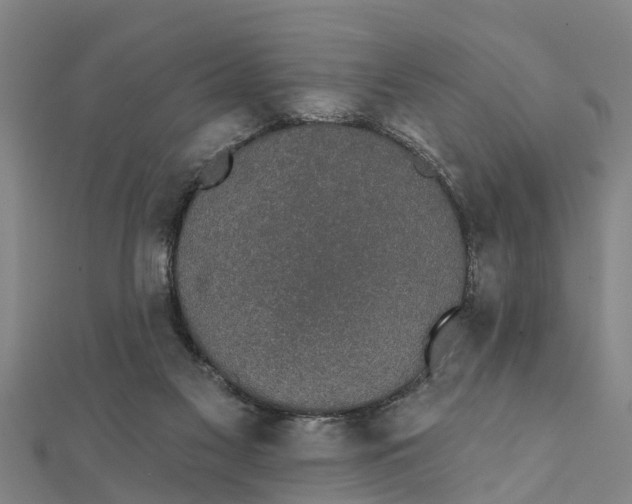 X0000111520117200908041252