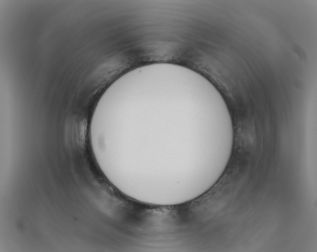 X0000111520118200908041252