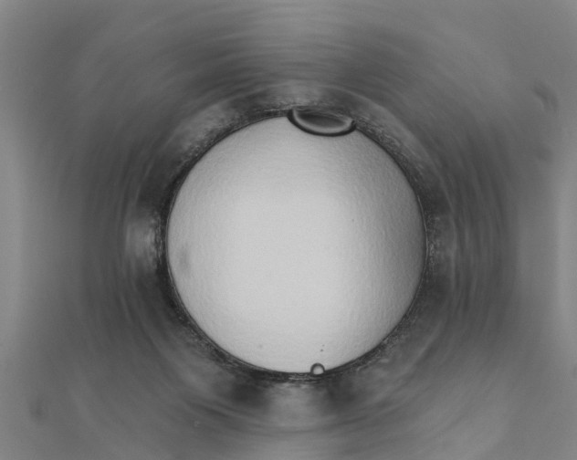 X0000111520119200908041252