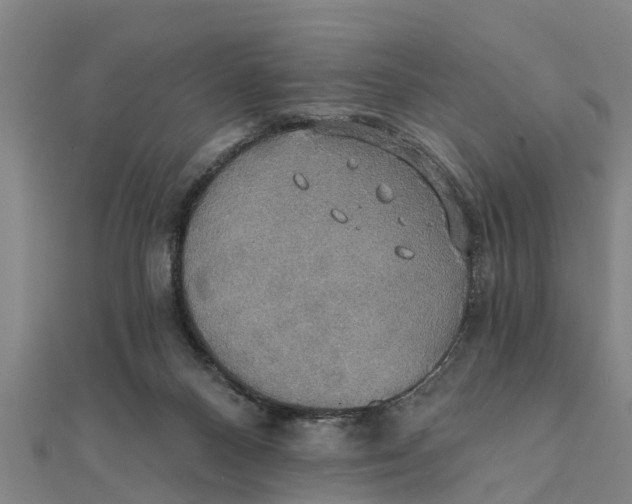 X0000111520120200908041252