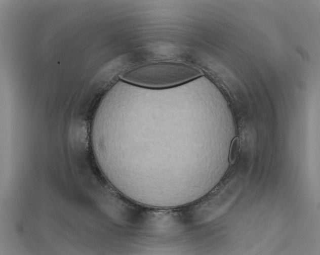 X0000111520121200908041252