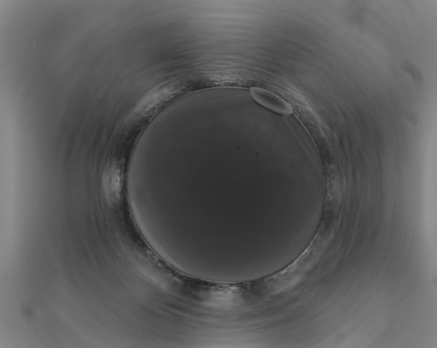X0000111520124200908041252