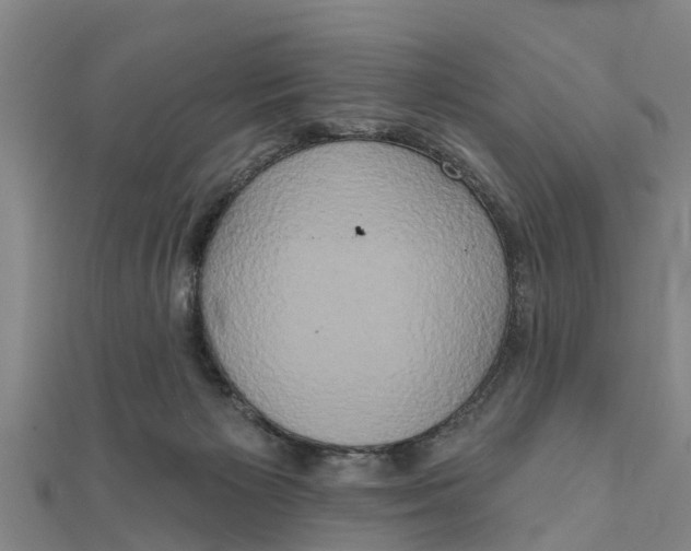 X0000111520125200908041252