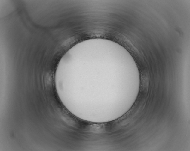 X0000111520126200908041252