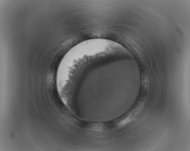 X0000111520127200908041252