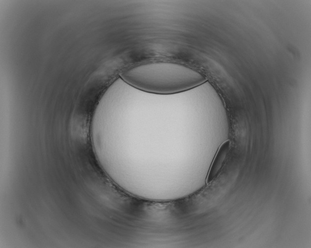 X0000111520129200908041252
