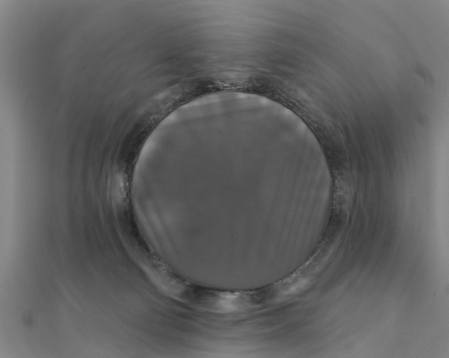 X0000111520130200908041252