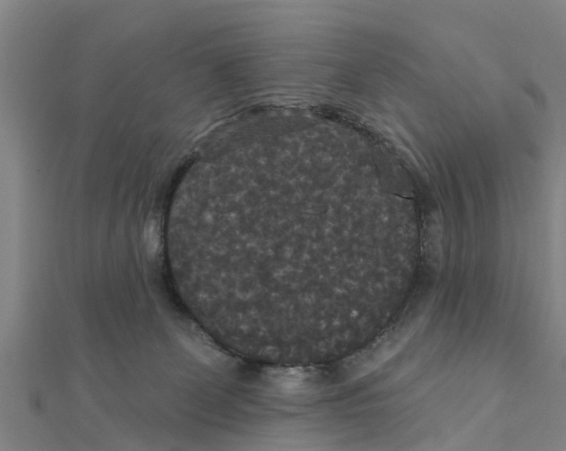 X0000111520131200908041252