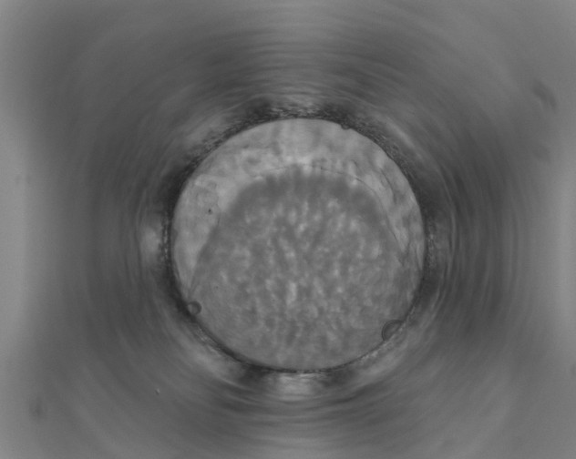 X0000111520134200908041252