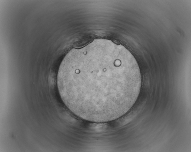 X0000111520135200908041252