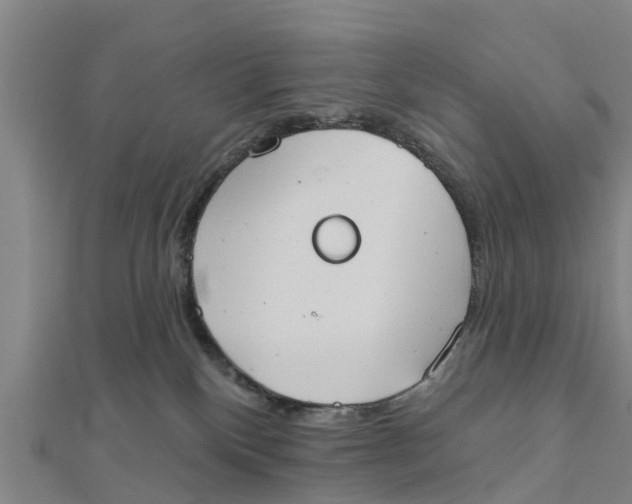 X0000111520136200908041252