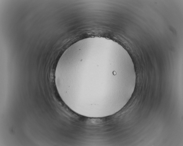 X0000111520137200908041252