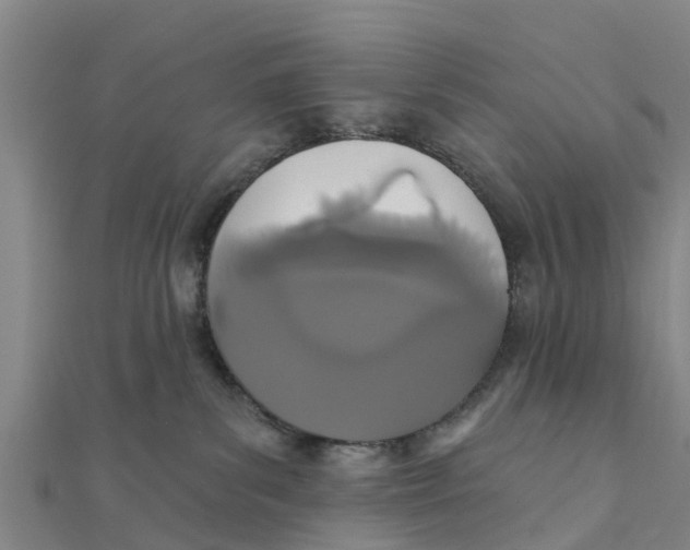 X0000111520139200908041252