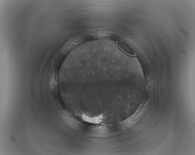 X0000111520140200908041252