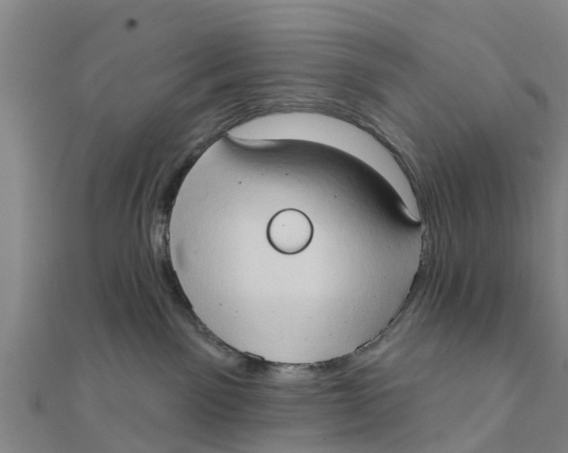 X0000111520141200908041252