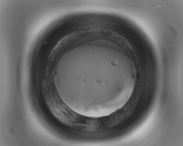 X0000111520143200908041252