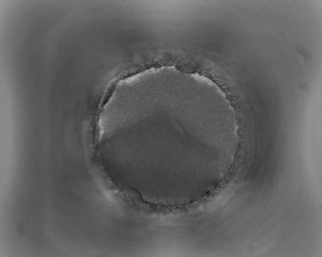 X0000111520144200908041252