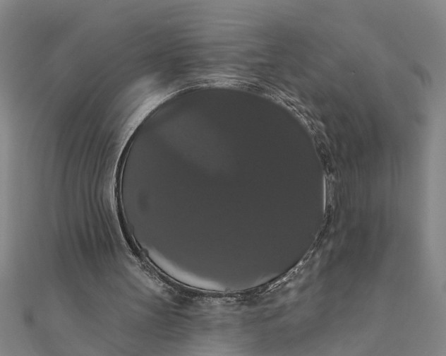 X0000111520147200908041251