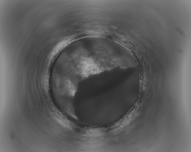 X0000111520149200908041251