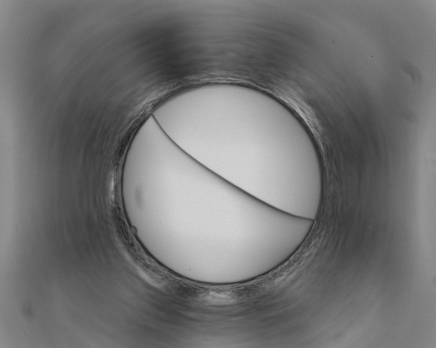 X0000111520157200908041251