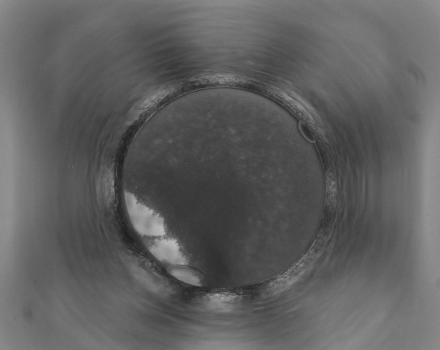 X0000111520158200908041251