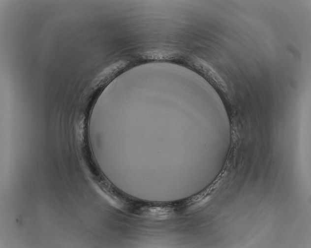 X0000111520163200908041251