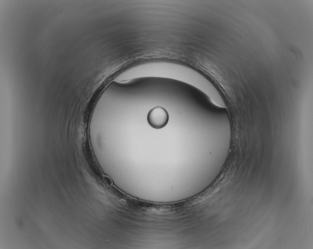 X0000111520164200908041251