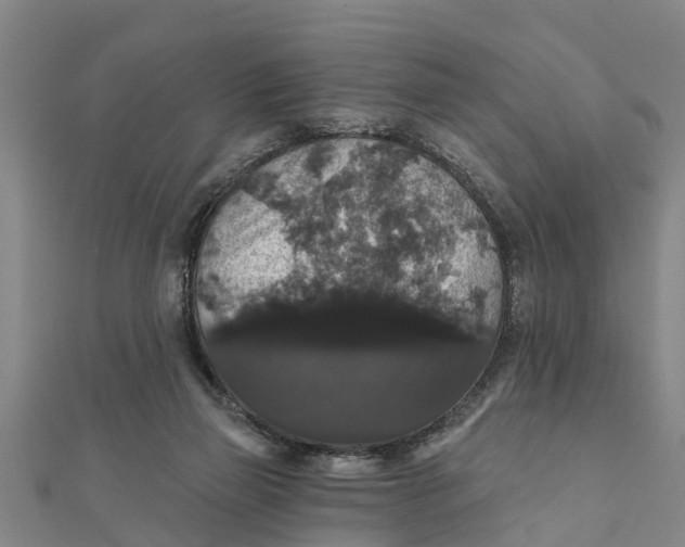 X0000111520165200908041251