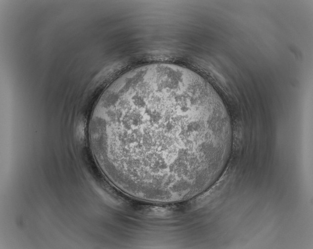 X0000111520166200908041251