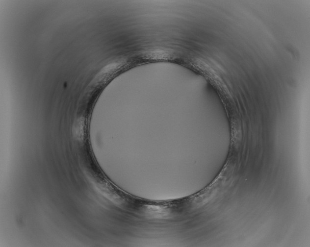 X0000111520167200908041251
