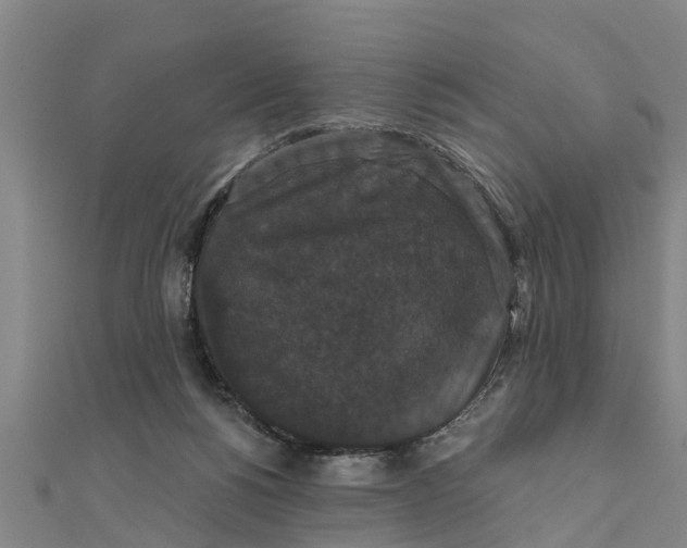 X0000111520168200908041251