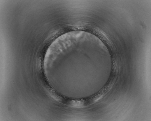 X0000111520169200908041251