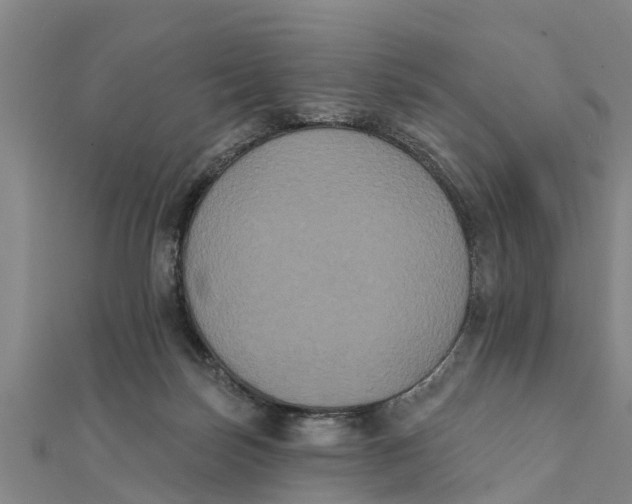 X0000111520171200908041251