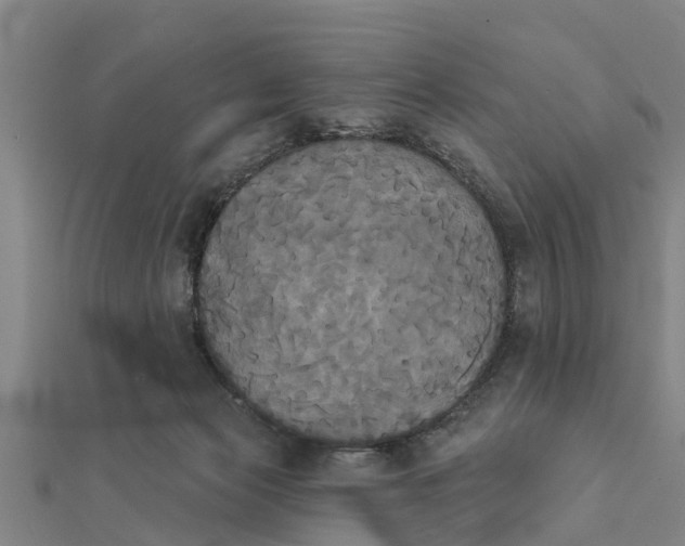 X0000111520173200908041251